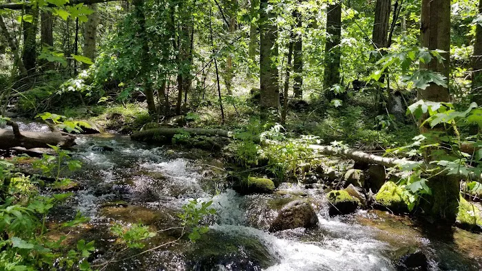 Coy Flat Campground Picture 3