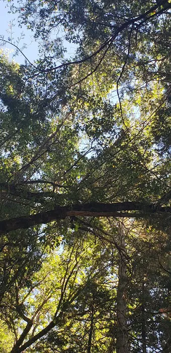 Coy Flat Campground Picture 9