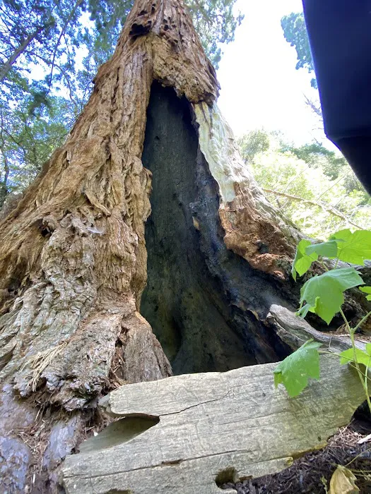 Coy Flat Campground Picture 7