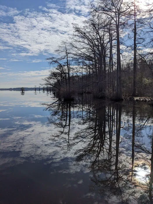 Cypress Landing RV Park Picture 1