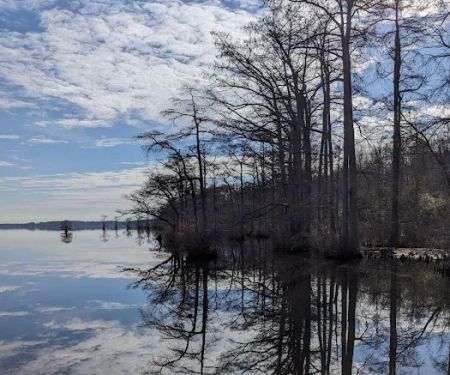 Cypress Landing RV Park