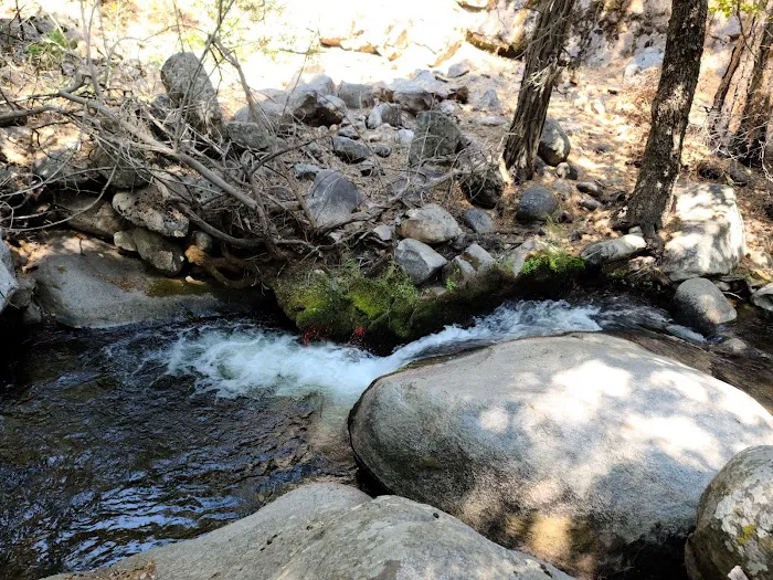 Belknap Campground Picture 6