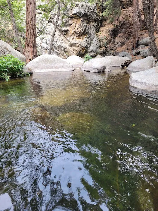 Belknap Campground Picture 4