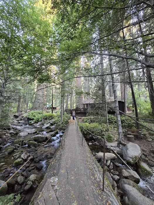 Belknap Campground Picture 5