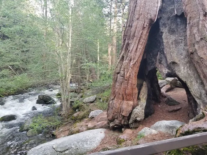 Belknap Campground Picture 8