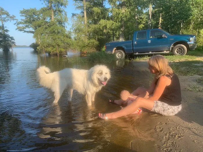 Cypress Cove Retreat Picture 4