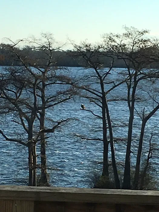 Cypress Cove Retreat Picture 1