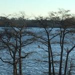 Cypress Cove Retreat