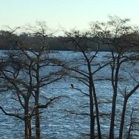 Cypress Cove Retreat ico