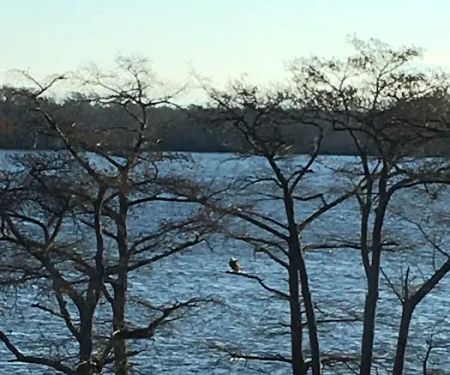 Cypress Cove Retreat