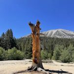 Rock Creek Lake Campground