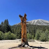 Rock Creek Lake Campground ico