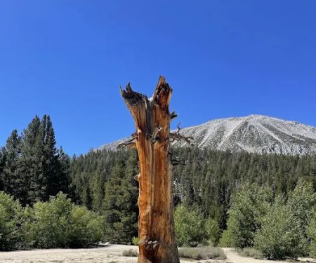 Rock Creek Lake Campground