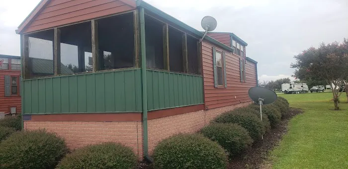 Misty Player Picture 1