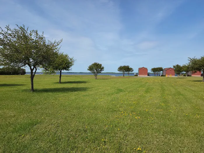 Misty Player Picture 2