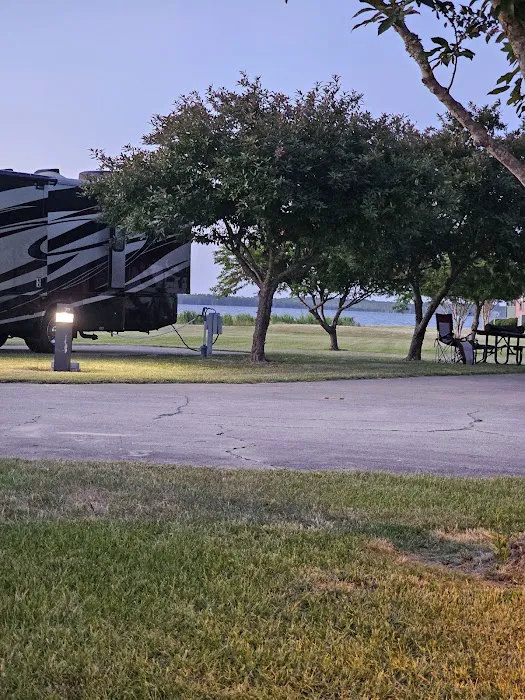 Misty Player Picture 8