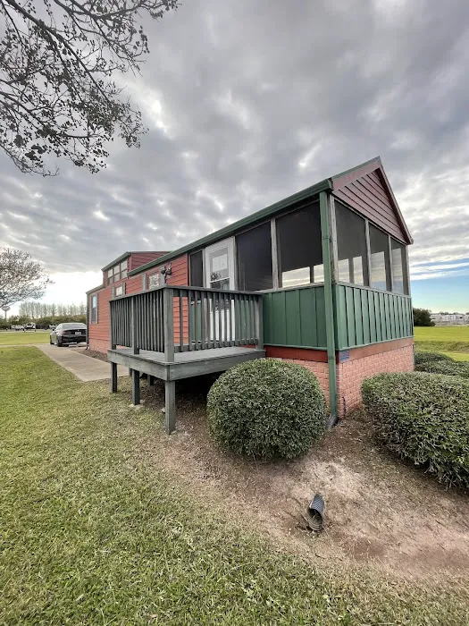 Misty Player Picture 7