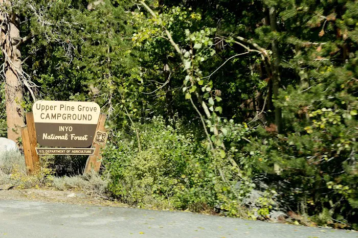 Lower Pine Grove Campground Picture 10