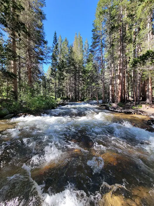 East Fork Picture 2