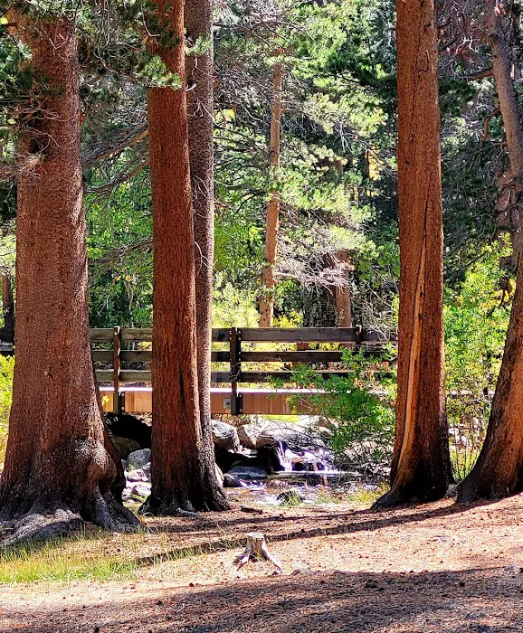 East Fork Picture 9