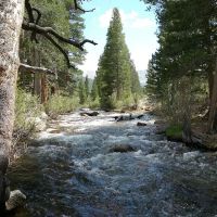 Palisade Group Campground ico