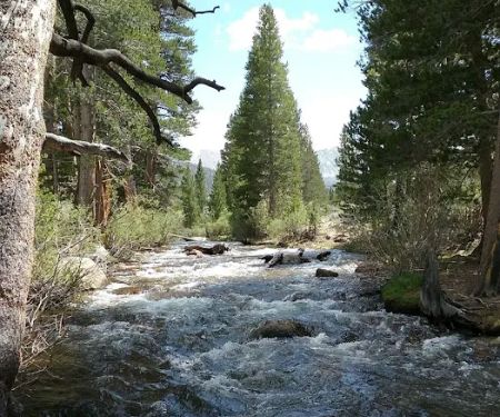 Palisade Group Campground