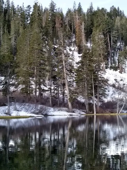 Palisade Group Campground Picture 3