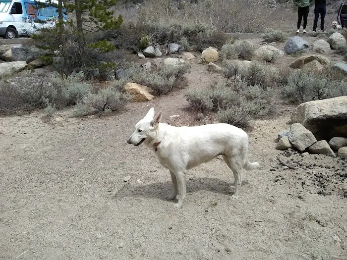 Palisade Group Campground Picture 7
