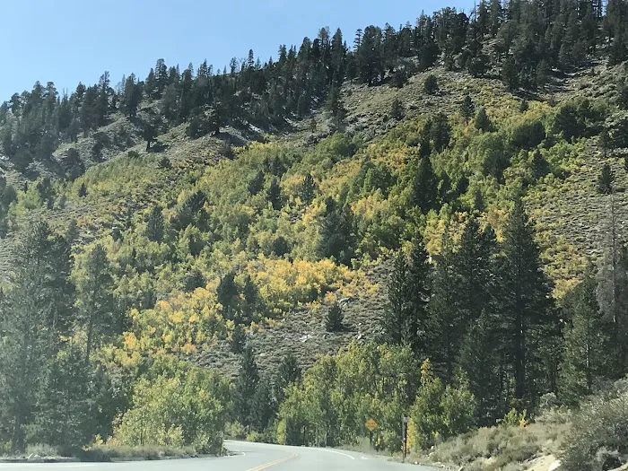 Palisade Group Campground Picture 2