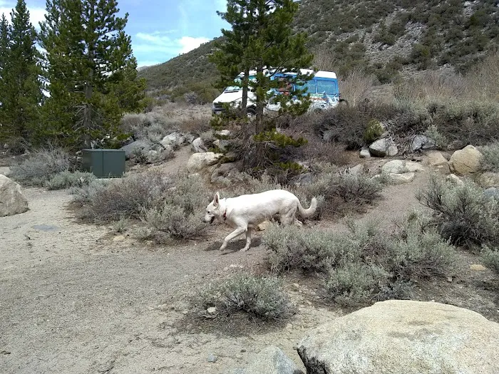 Palisade Group Campground Picture 8