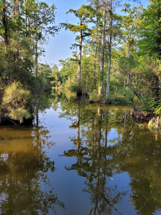 Lunker Lodge and RV Park Picture 5