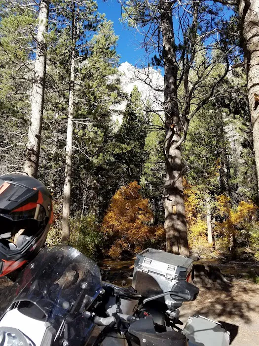 Big Meadow Campground Picture 3