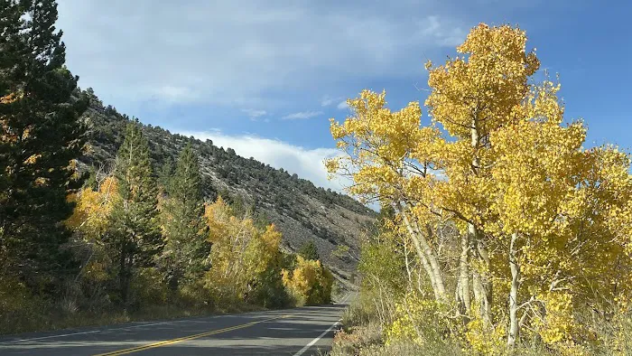 Big Meadow Campground Picture 1