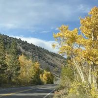 Big Meadow Campground ico