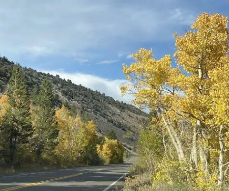 Big Meadow Campground