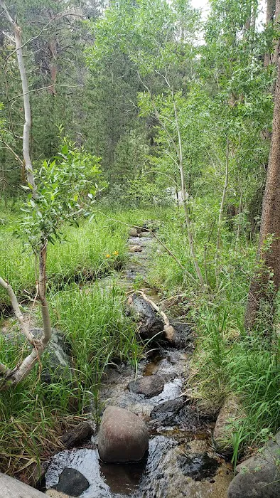 Big Meadow Campground Picture 2