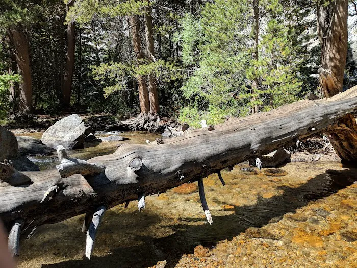 Big Meadow Campground Picture 4