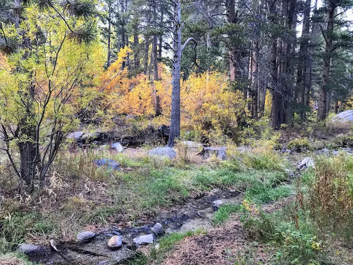 Big Meadow Campground Picture 8