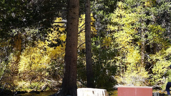 Big Meadow Campground Picture 9