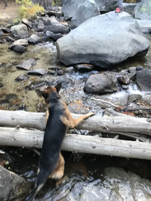 Big Meadow Campground Picture 7