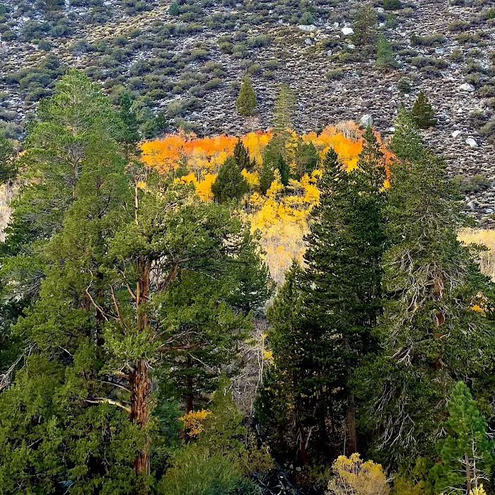 Iris Meadow Campground Picture 1