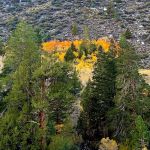 Iris Meadow Campground