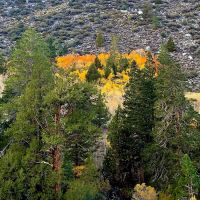 Iris Meadow Campground ico