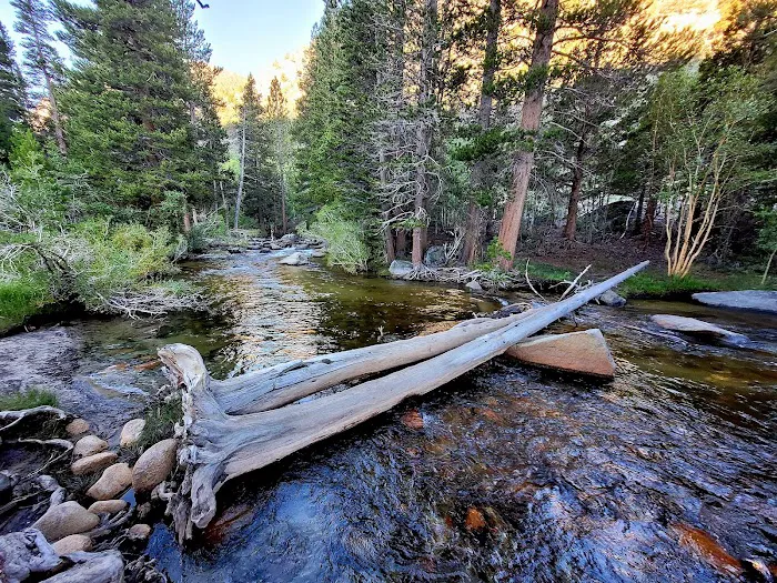 Iris Meadow Campground Picture 2