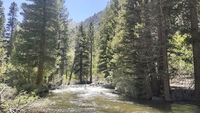 Iris Meadow Campground Picture 4