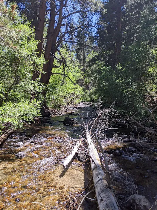 Iris Meadow Campground Picture 10