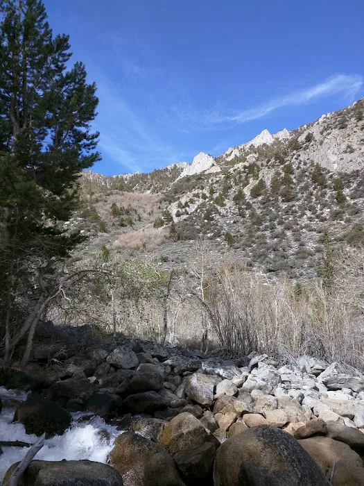 Iris Meadow Campground Picture 9