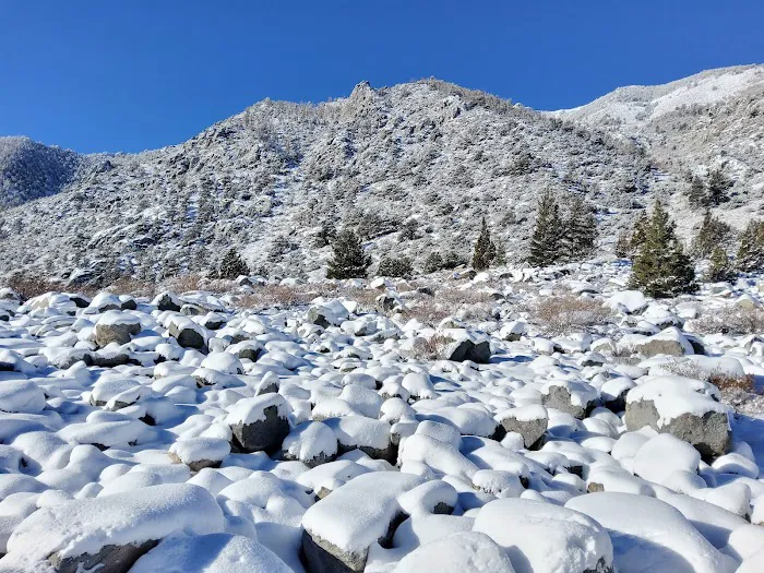 Aspen Group Campground Picture 6