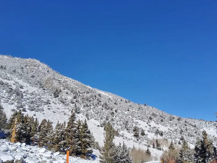 Aspen Group Campground Picture 4