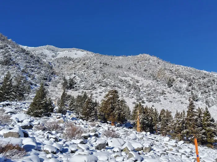 Aspen Group Campground Picture 7